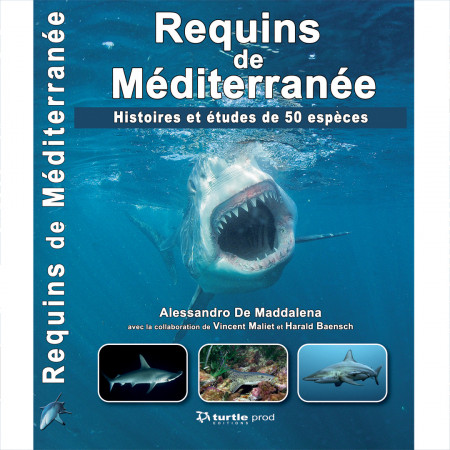 requins-de-mediterranee-50-especes-editions-turtle-prod-livre-biologie