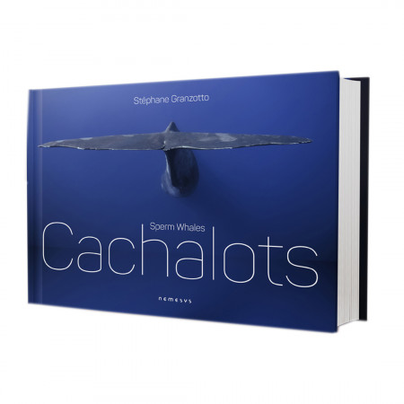 cachalots-editions-nemesys-livre-beau