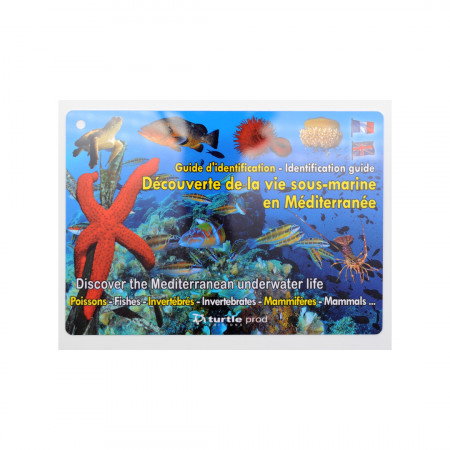 book-multi-discovering-underwater-life-in-the-mediterranean-editions-turtle-prod