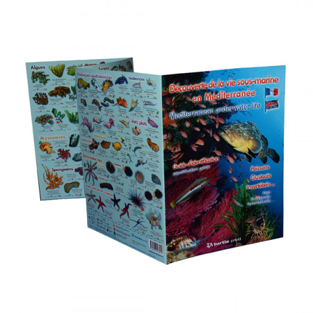 discovery-of-the-mediterranean-underwater-life-editions-turtle-prod-book-multi