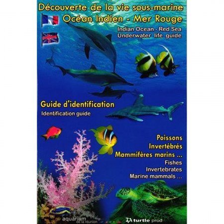 discovering-underwater-life-indian-ocean-red-sea-editions-turtle-prod-book-multi