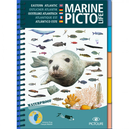 marine-picto-life-east-atlantic-editions-pictolife-book-multi