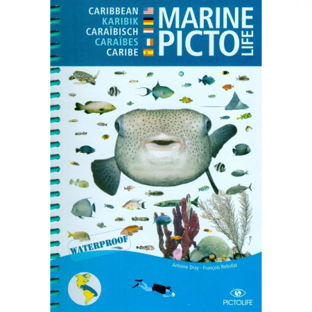 marine-picto-life-atlantique-tropicale-ouest-editions-pictolife-livre-multi
