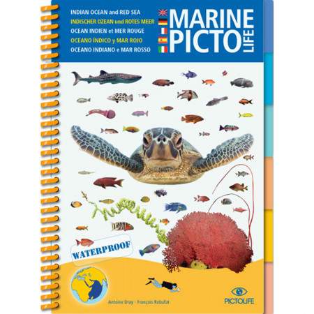 marine-picto-life-indian-ocean-red-sea-editions-pictolife-book-multi