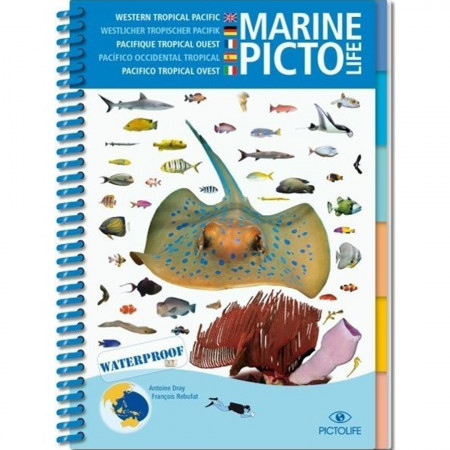 marine-picto-life-pacifique-tropical-ouest-editions-pictolife-livre-multi