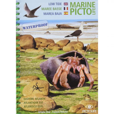 marine-picto-life-low-tide-east-atlantic-editions-pictolife-book-multi