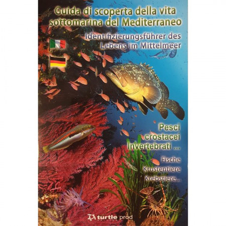 entdeckung-der-unterwasserwelt-des-mittelmeers-editions-turtle-prod-book