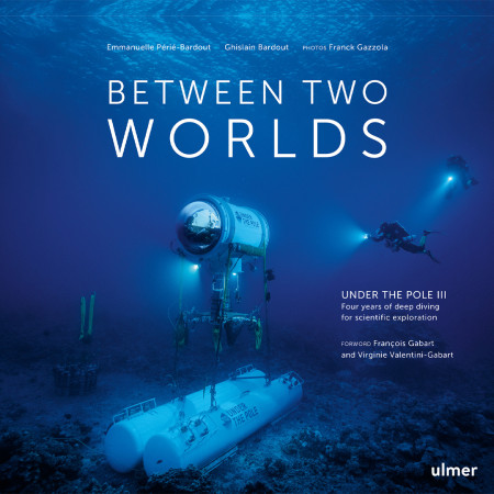 between-two-worlds-editions-ulmer-book
