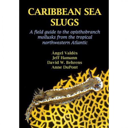caribbean-sea-slugs-editions-natural-history-books-livre