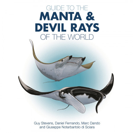 guide-to-the-manta-and-devil-rays-of-the-world-editions-ikan-book