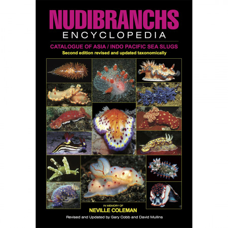 nudibranchs-encyclopedia-catalogue-of-asia-editions-ikan-book