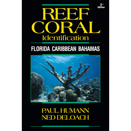 reef-coral-identification-florida-caribbean-bahamas-editions-new-world-publicartions-livre