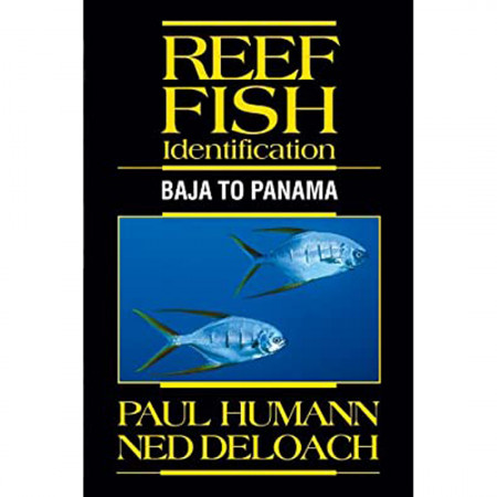 reef-fish-identification-baja-to-panama-editions-new-world-publicartions-livre
