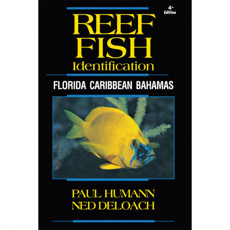 reef-fish-identification-florida-caribbean-bahamas-editions-new-world-publicartions-book