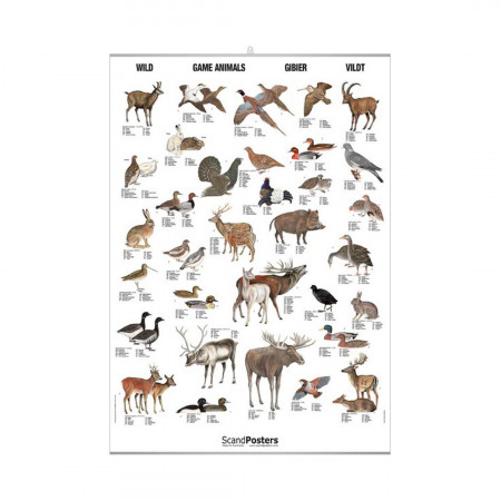 animaux-a-poils-et-a-plumes-editions-scandposters-livre