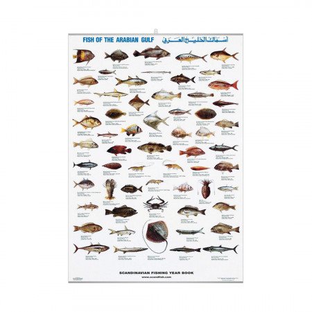 poissons-golfe-arabique-editions-scandposters-livre