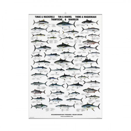 tunas-meckerels-editions-scandposters-book