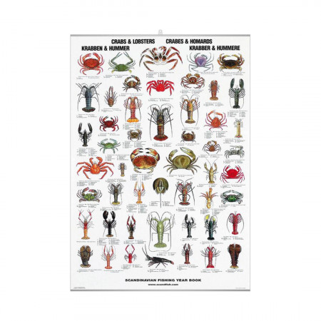 crabes-homards-editions-scandposters-book