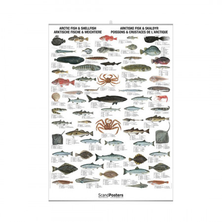 poissons-crustaces-arctique-editions-scandposters-livre