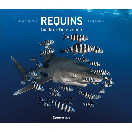 requins-guide-de-l-interaction-editions-turtle-prod-livre-biologie