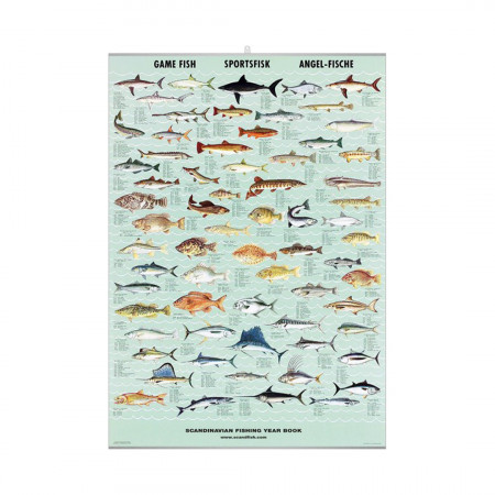 poissons-de-chasse-editions-scandposters-livre