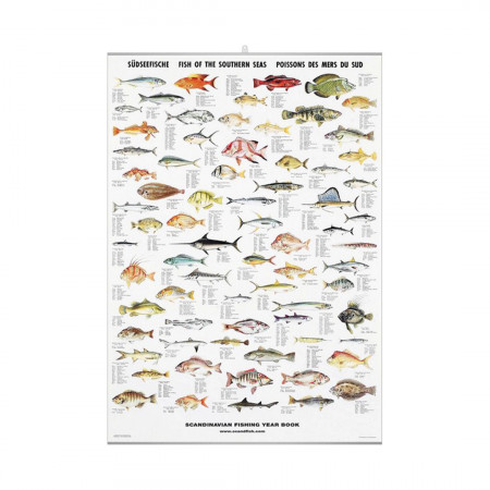 poissons-des-mers-du-sud-editions-scandposters-livre