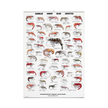shrimp-editions-scandposters-book
