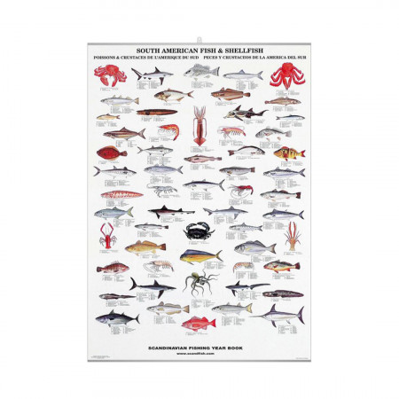 poissons-et-crustaces-de-l-amerique-du-sud-editions-scandposters-livre