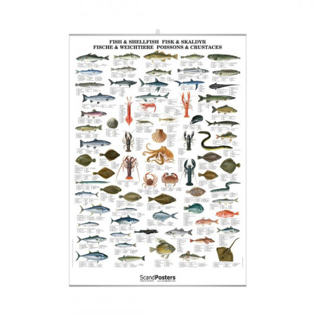 poissons-et-crustaces-editions-scandposters-livre