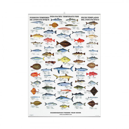 poissons-tempérés-de-l-indo-pacifique-editions-scandposters-livre