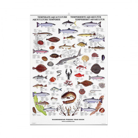 aquaculture-a-temperature-editions-scandposters-livre