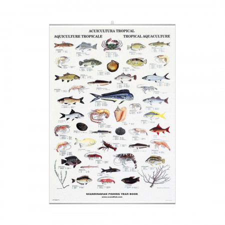 tropical-aquiculture-editions-scandposters-book