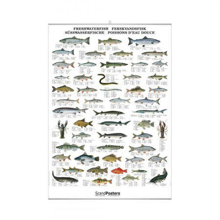 freshwaterfish-editions-scandposters-book