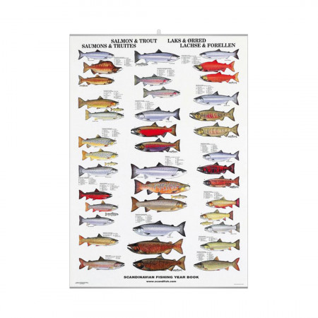 salmon-and-trout-editions-scandposters-book