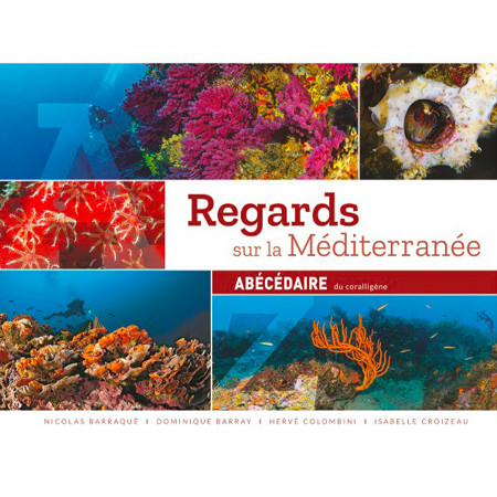 regards-sur-la-mediterranee-abecedaire-editions-turtle-prod-livre-biologie