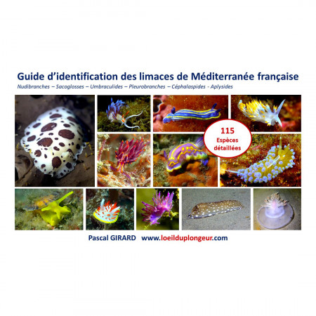 guide-d-identification-des-limaces-de-mediterranee-francaise-editions-oeil-du-plongeur-livre