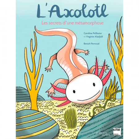 l-axolotl-les-secrets-d-une-metamorphose-editions-actes-sud-jeunesse-livre-biologie