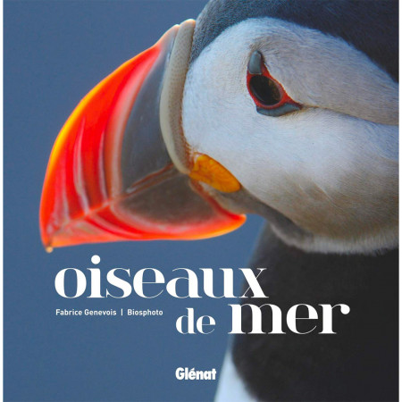 oiseaux-de-mer-editions-glenat