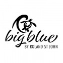 BIG BLUE BY RSJ